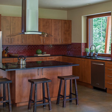 Contemporary Northwest Passive House