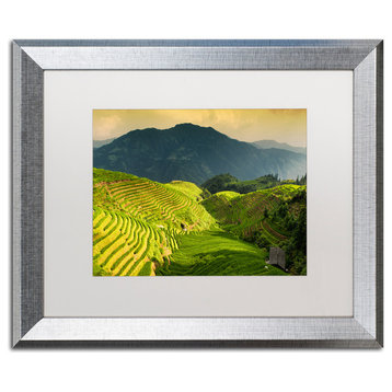 Philippe Hugonnard 'Sunset Rice I' Art, Silver Frame, White Matte, 20"x16"