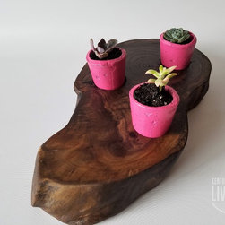 Live Edge Succulent Planters - Plate Stands And Hangers
