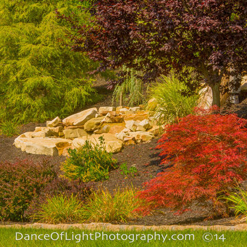 Frankstown Pondless Waterfall