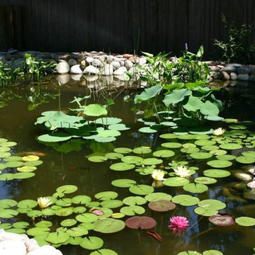 Landscape Gallery