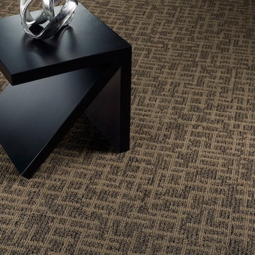 Floor of the Day Dream Weaver Integrity carpet