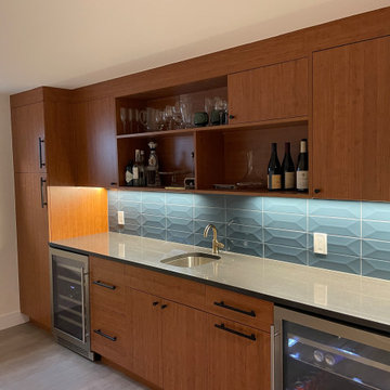 South Denver | Home Renovation