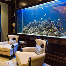 Tank Up on These 5 Pointers Before You Set Up an Aquarium