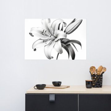 Botanical Flower Wall Art: A Moment of Bloom Lily Pencil Sketch Charcoal Drawing