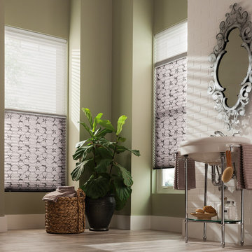 Blinds & Shades
