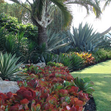 garden tropical