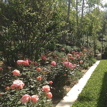 Irvine Hills Mediterranean