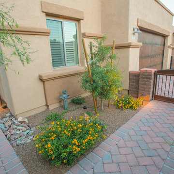 Transformed Tucson Courtyard