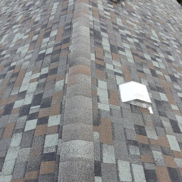 Roof, siding and more