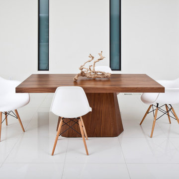 Pangea Home Modern