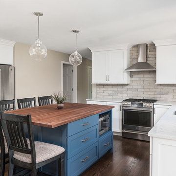 Transitional Kitchen & First Floor Pleasant Hill Remodel - Lisle