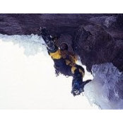Chris Masters's photo