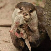 Terra Smith's photo