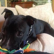 Sharon Lomas's photo
