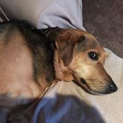 Chris Carey's photo