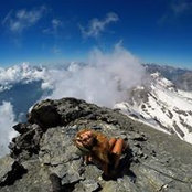 Carmen Scarpa's photo
