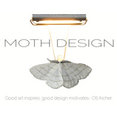 Moth Design's profile photo