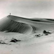 Wayne Meichsner's photo