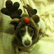 Barbara Phillips's photo