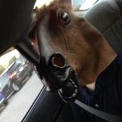 Holly Loless's photo