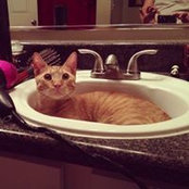 Ruth Roberts's photo