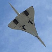 Luís Oliveira's photo