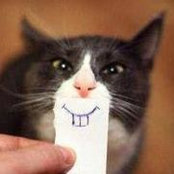 Michael Kelly's photo