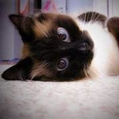 Isis Zieber's photo
