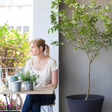 Plants