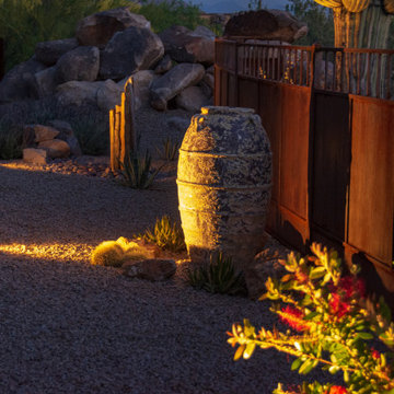 Life Amongst the Saguaros
