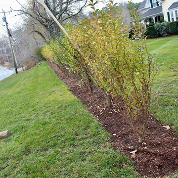 Landscaping