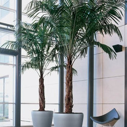 Modern Planter - Products