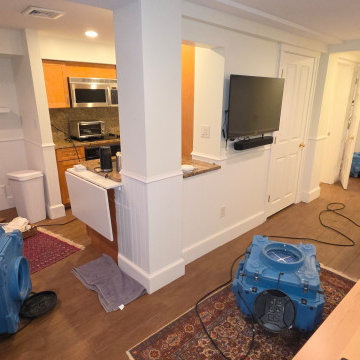 Mold Removal