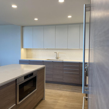 Chevy Chase Condo