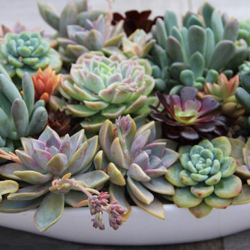 Arrangements