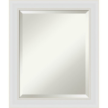 Flair Soft White Narrow Beveled Bathroom Wall Mirror - 20 x 24 in.