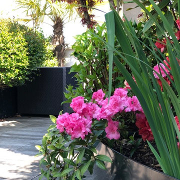 Terrasse parisienne de 220m2