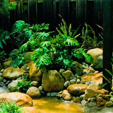 Rocks and Streambeds