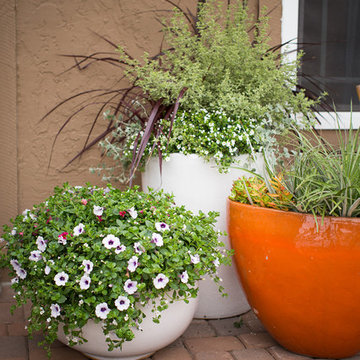 Container Designs and Ideas
