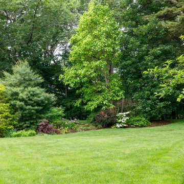 Mature Garden