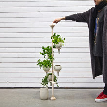 gardening inspiration