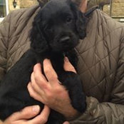 David Saunders's photo