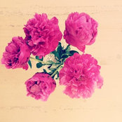 Sally's photo