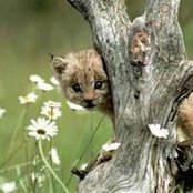 Cheryl Schumacher's photo