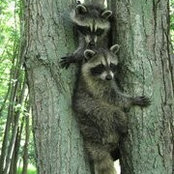 Brigitta Stewart's photo