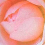 Denise Solisさんの写真