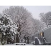 Lisa Lebo's photo