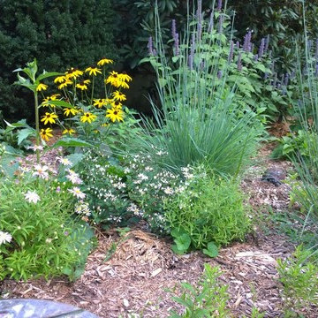 Pollinator Garden