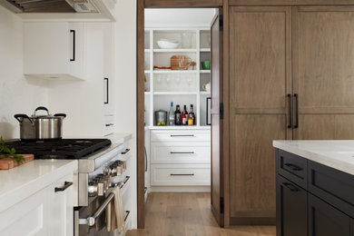Example of a transitional kitchen design in Other
